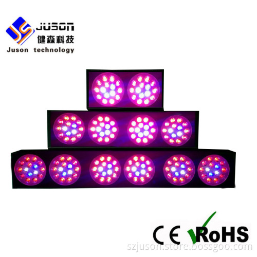 Factory Price 3 Watt Agricultural LED Grow Lights With Secondary Lenses